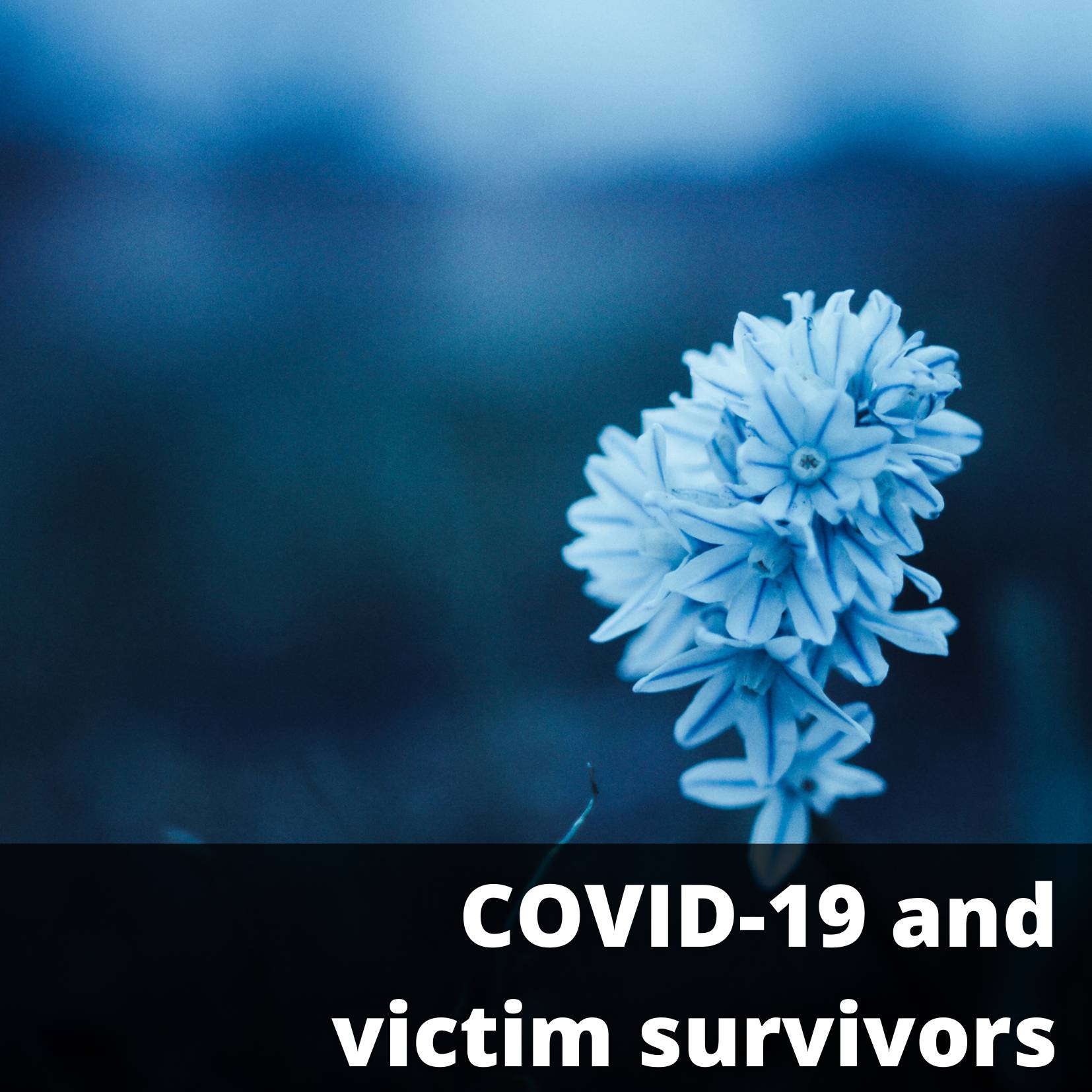 COVID-19 and Victim Survivors